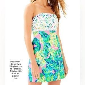 NWOT 🎉 Lily Pulitzer Strapless Dress